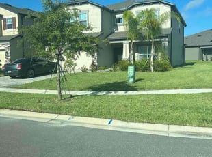 Steve P.'s landscaping services service result