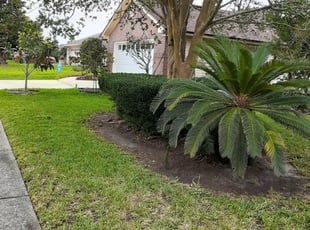 Mary A.'s Bush Trimming service result