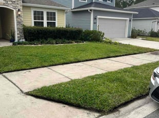 Randy V.'s lawn care service result
