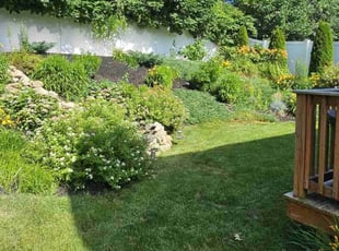 Ashlee A.'s lawn care services service result