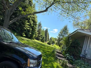 Josephine V.'s lawn care services service result