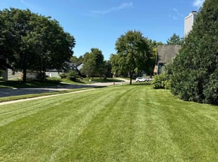 William C.'s lawn maintenance service result