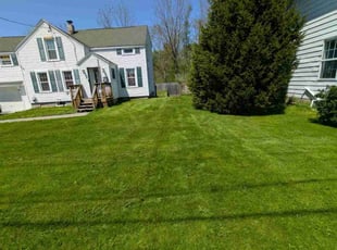Ryan S.'s lawn maintenance service result