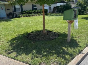 Ferdy D.'s grass maintenance service result