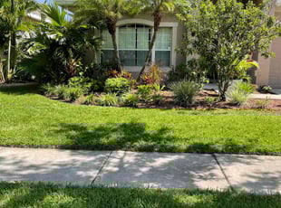 Doris H.'s Bush Trimming service result