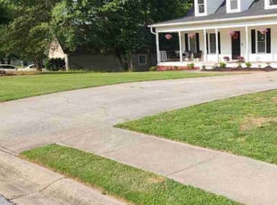 Thach T.'s turf maintenance service result