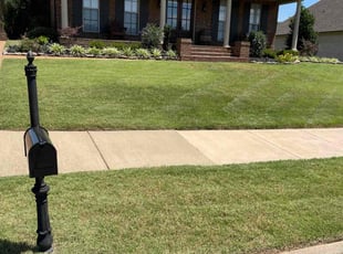 Mike B.'s grass maintenance service result