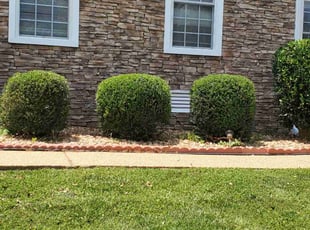 Marcus V.'s Bush Trimming service result