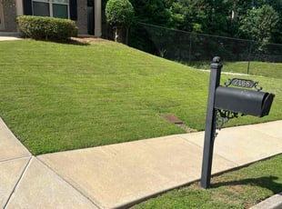 Geraldine B.'s lawn maintenance service result