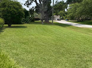 Jennifer T.'s yard maintenance service result