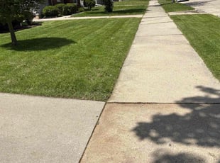 Leroy W.'s lawn service service result