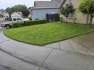 Chris B.'s grass cutting service result