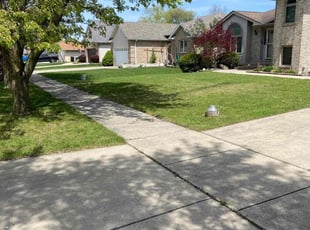 Sarah P.'s turf care service result