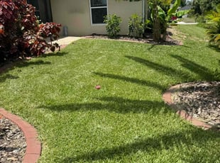 Yusuf U.'s lawn service service result