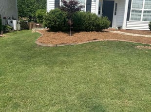 Rebecca A.'s grass cutting service result