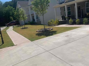 Larry N.'s turf care service result