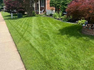 Kevin C.'s lawn care services service result