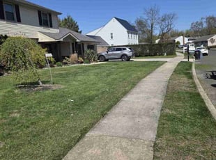 Sean N.'s turf maintenance service result