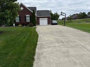 Darlene P.'s Long Grass Cleanup service result