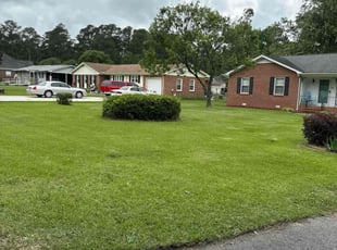 Innocent O.'s lawn maintenance service result
