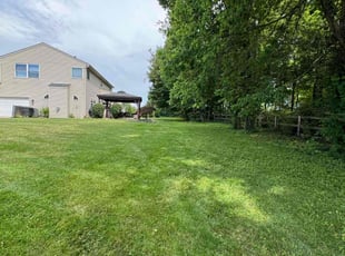 Irene S.'s lawn care service result