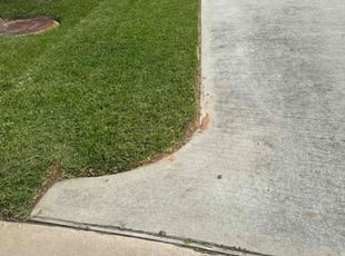 Iona D.'s lawn care services service result