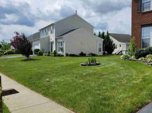 Carla R.'s lawn care services service result