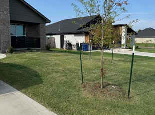 Michael L.'s lawn care service result