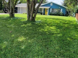 Keena M.'s yard care service result