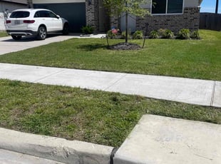 Traci R.'s grass cutting service result
