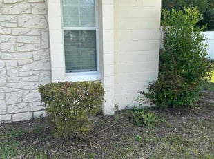 Mandy G.'s lawn care service result