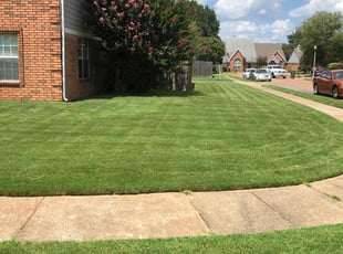 DeAndre G.'s grass maintenance service result