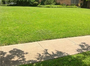 John B.'s lawn service service result