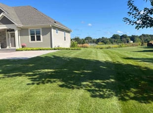 Janiece G.'s lawn service service result