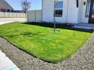 Laurie R.'s lawn maintenance service result