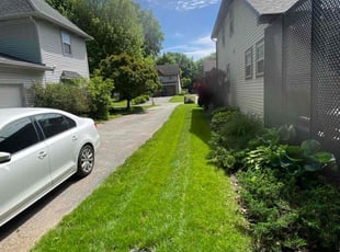 Andrea W.'s grass maintenance service result