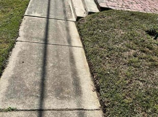 Louis R.'s grass cutting service result