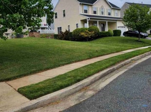 Jon P.'s lawn care services service result