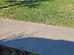 Walter H.'s turf maintenance service result