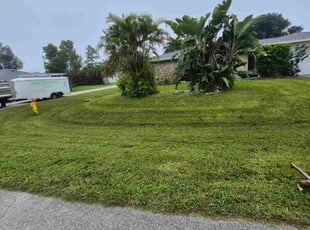 Mary U.'s grass cutting service result