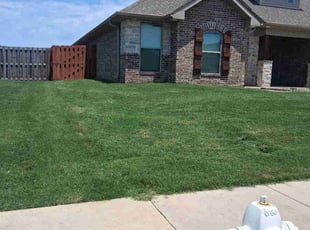 Stephen J.'s lawn maintenance service result
