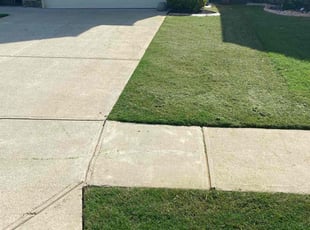 Mohammed Z.'s lawn care services service result