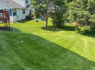 Matilda S.'s lawn maintenance service result