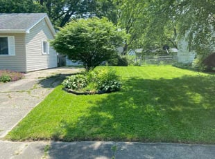 Terry J.'s lawn care service result