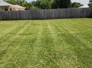 Dora M.'s grass cutting service result