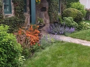 Marjorie S.'s Leaf Removal service result