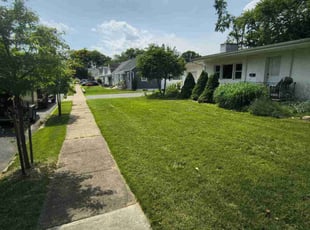 Amber W.'s turf care service result