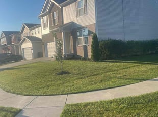 Kristine S.'s lawn care service result