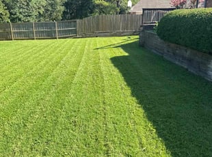 Audra S.'s lawn care service result
