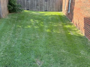 Robyn B.'s grass cutting service result